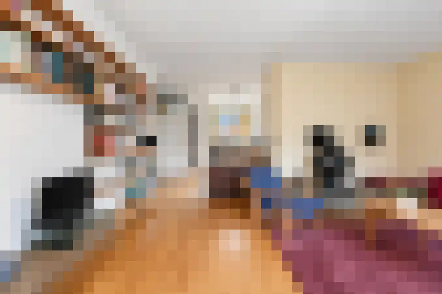 Brasemsloot 5 Zoetermeer thumbnail 17