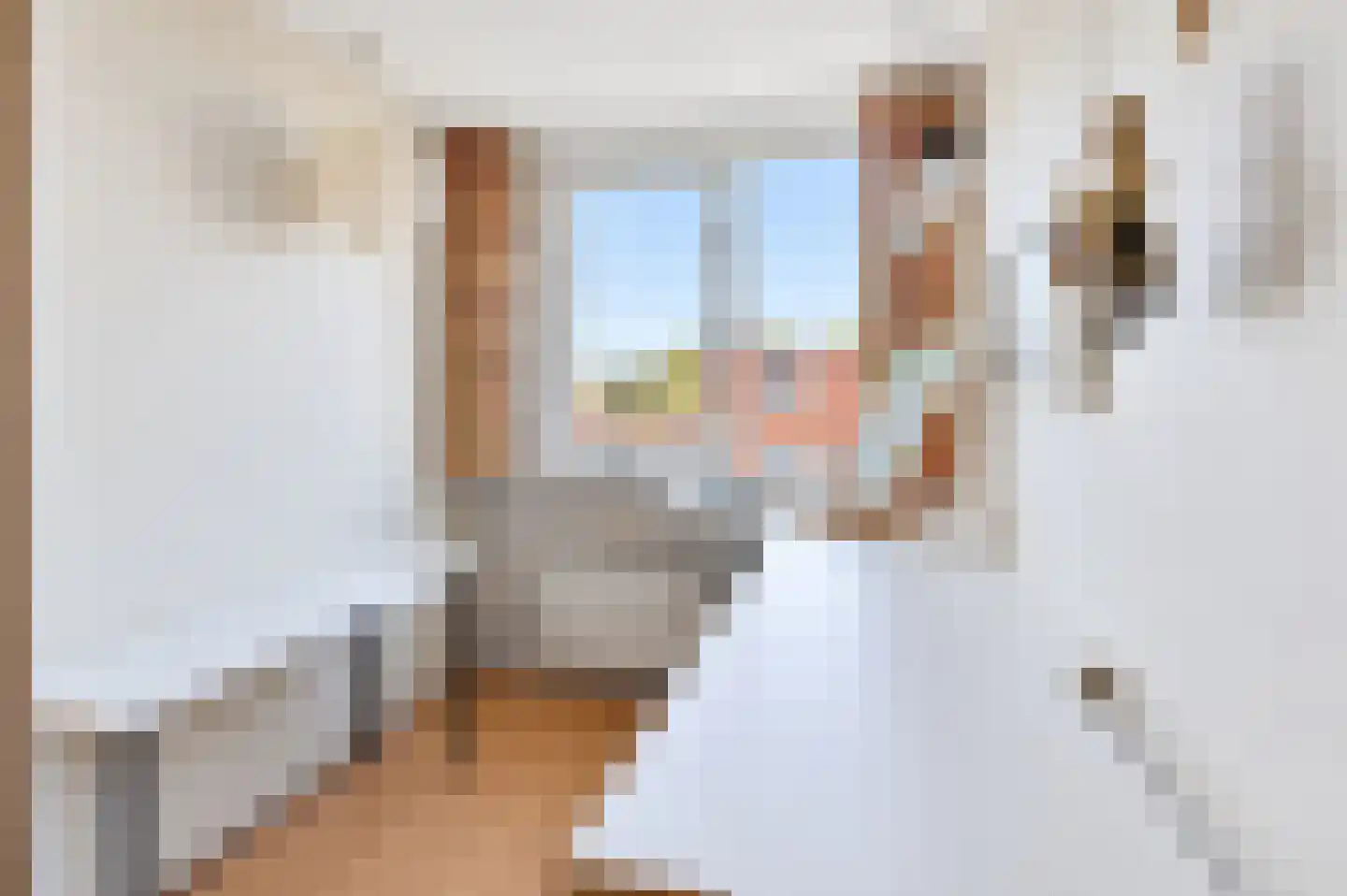 Brasemsloot 5 Zoetermeer thumbnail 39