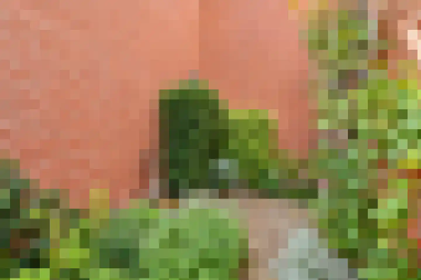 Brasemsloot 5 Zoetermeer thumbnail 5