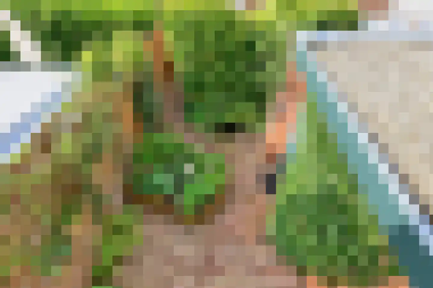 Brasemsloot 5 Zoetermeer thumbnail 6