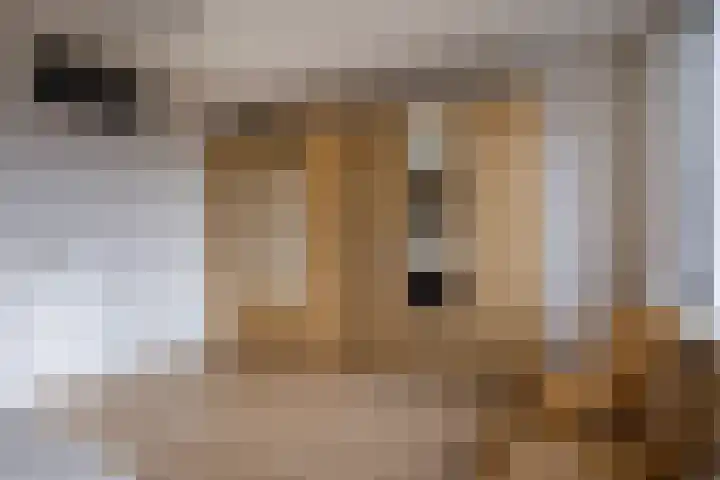 Brasemstraat 10 Utrecht thumbnail 15