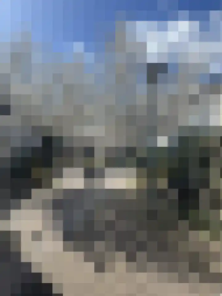 Brasemstraat 10 Utrecht thumbnail 29