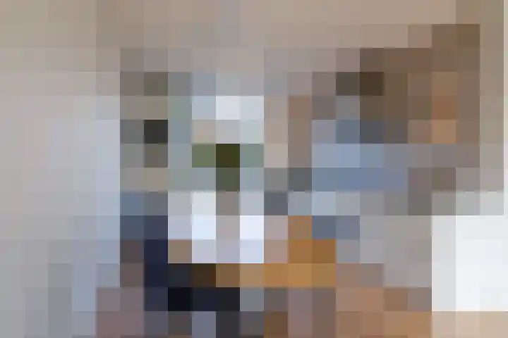 Brasemstraat 10 Utrecht thumbnail 5