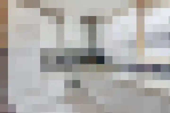 Brasemstraat 107 Utrecht thumbnail 15