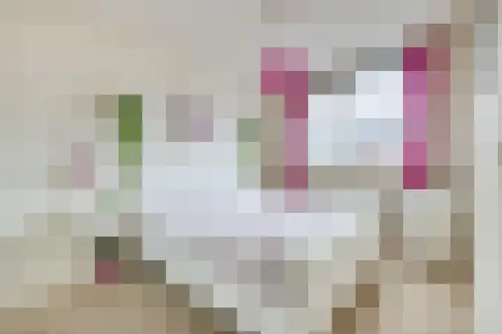 Brasemstraat 107 Utrecht thumbnail 16