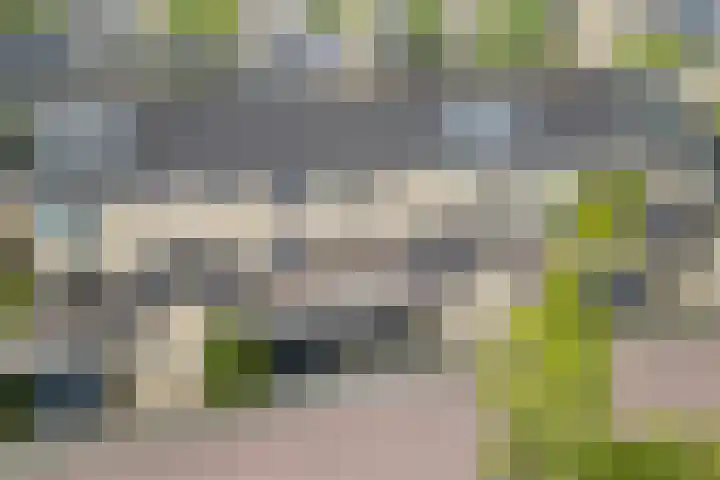 Brasemstraat 107 Utrecht thumbnail 28