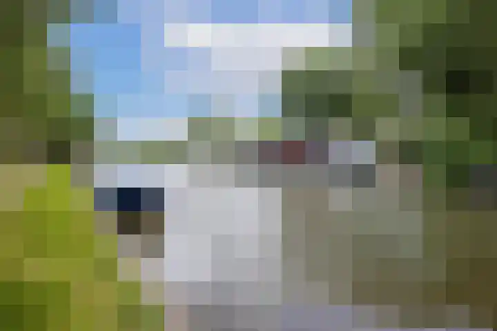 Brasemstraat 107 Utrecht thumbnail 30