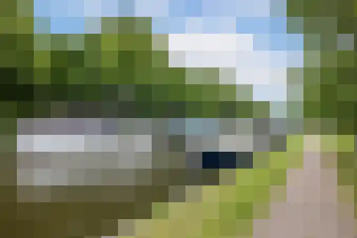 Brasemstraat 107 Utrecht thumbnail 32