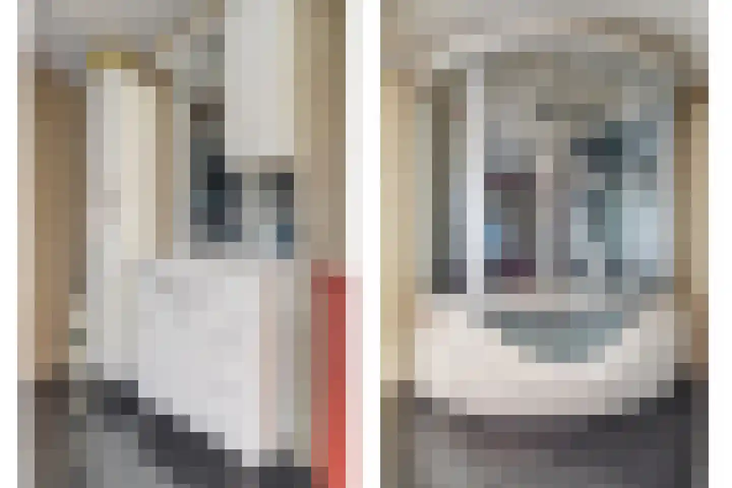 Brasemstraat 14 a Tilburg thumbnail 18
