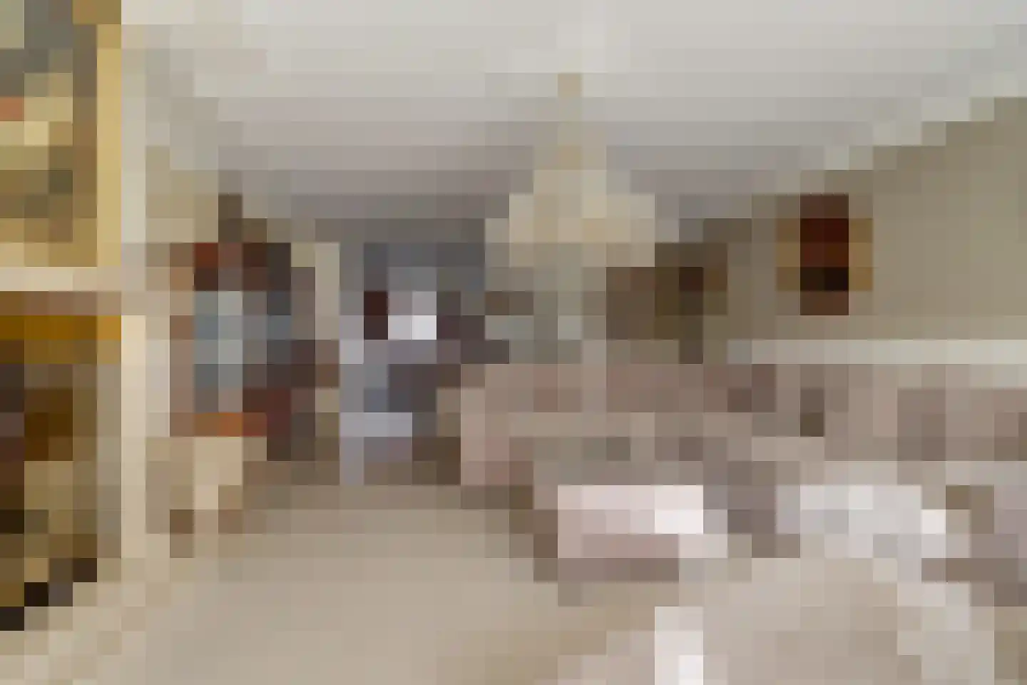 Brasemstraat 14 a Tilburg thumbnail 4