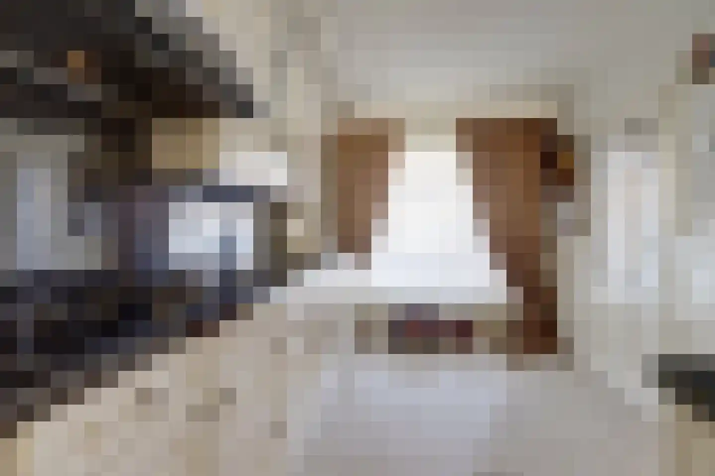 Brasemstraat 14 a Tilburg thumbnail 9