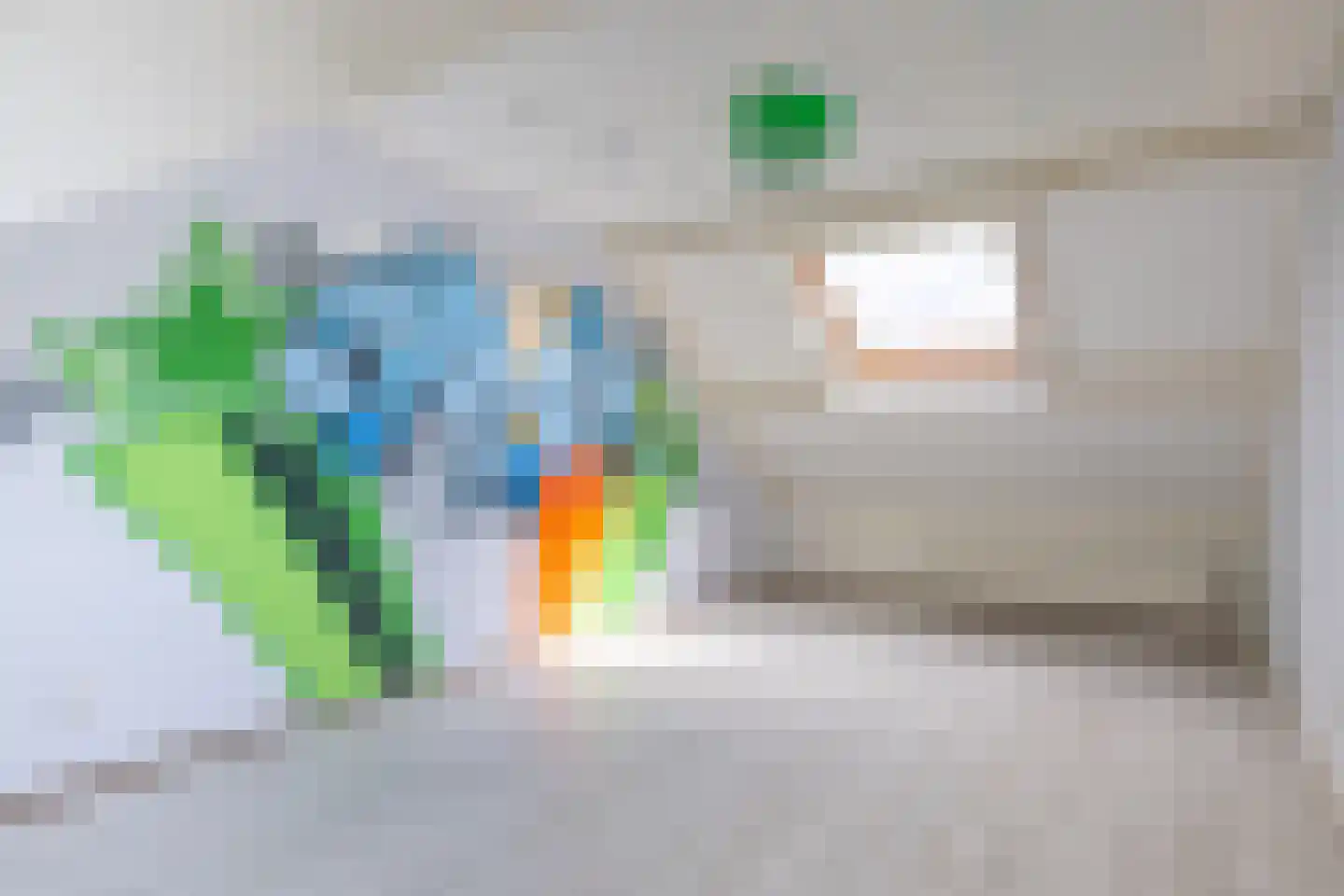Brasemstraat 22 Nieuwkoop thumbnail 13
