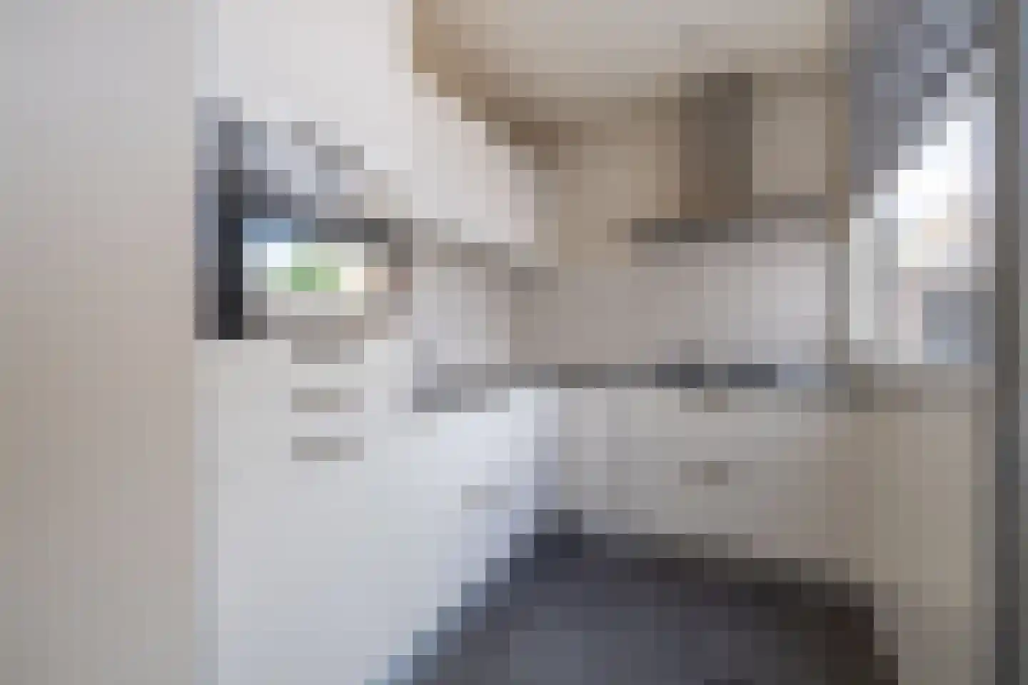 Brasemstraat 22 Nieuwkoop thumbnail 5
