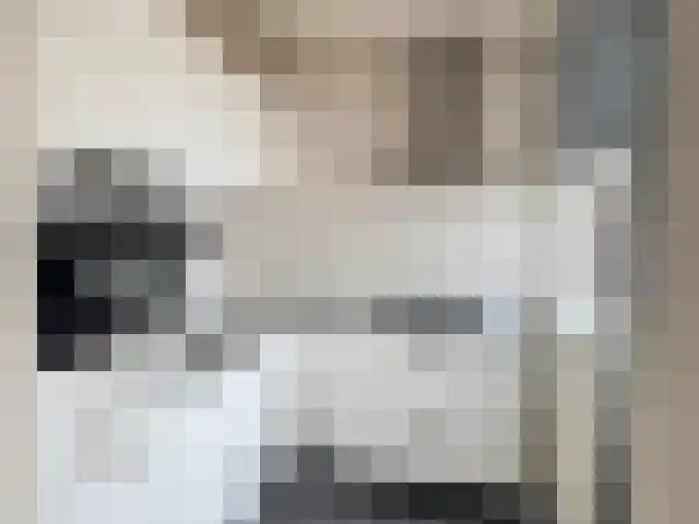 Brasemstraat 22 Nieuwkoop thumbnail 6