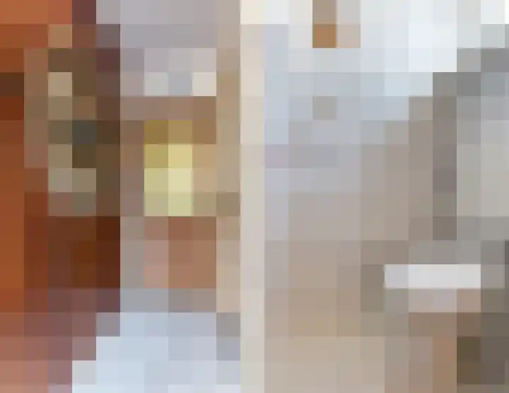 Brasemstraat 23 Tilburg thumbnail 11