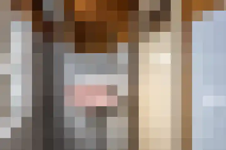 Brasemstraat 23 Tilburg thumbnail 16
