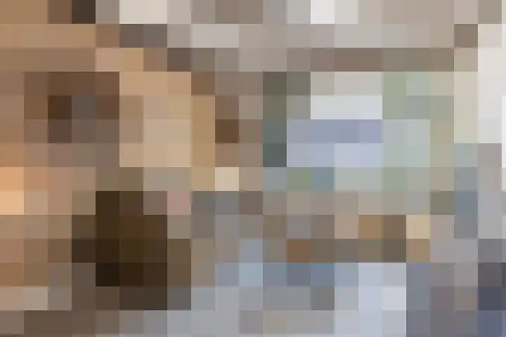 Brasemstraat 23 Tilburg thumbnail 4