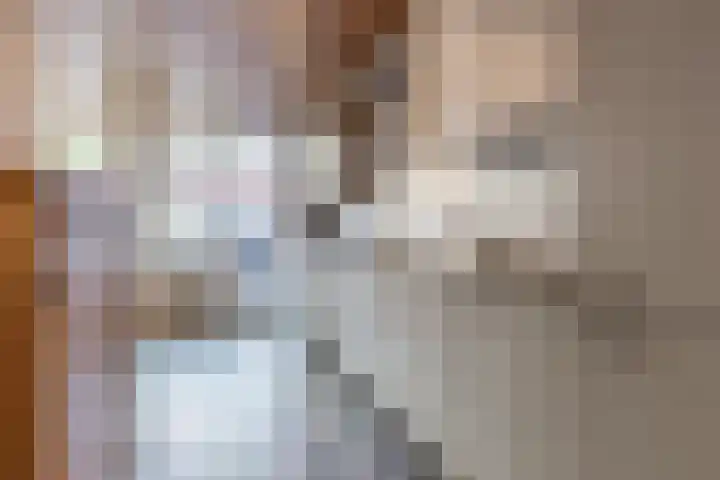 Brasemstraat 23 Tilburg thumbnail 7