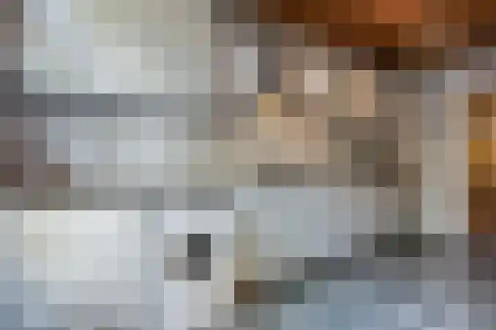 Brasemstraat 23 Tilburg thumbnail 8