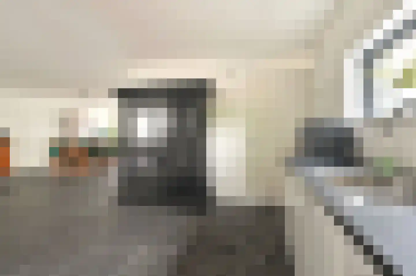 Brasemstraat 3 Eemnes thumbnail 8