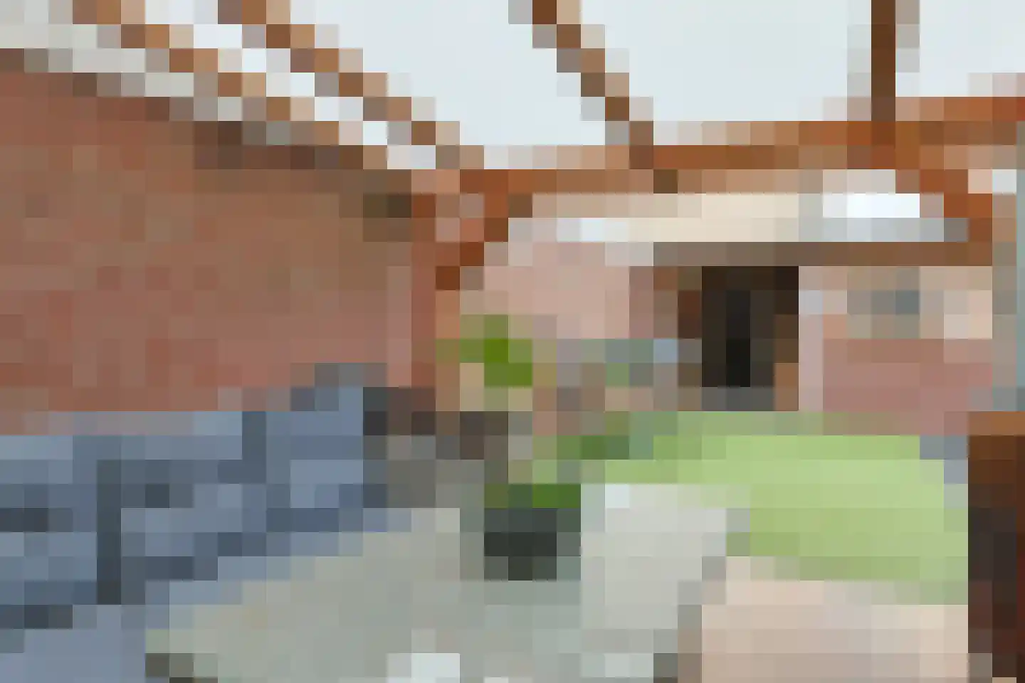 Brasemstraat 32 Nieuwkoop thumbnail 12