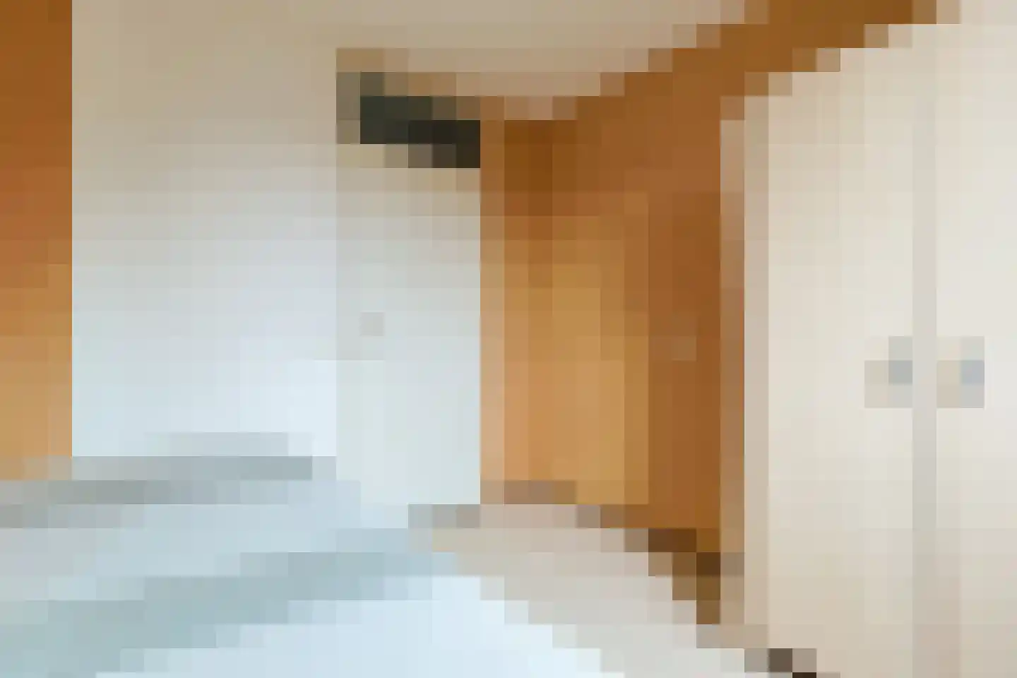 Brasemstraat 32 Nieuwkoop thumbnail 15