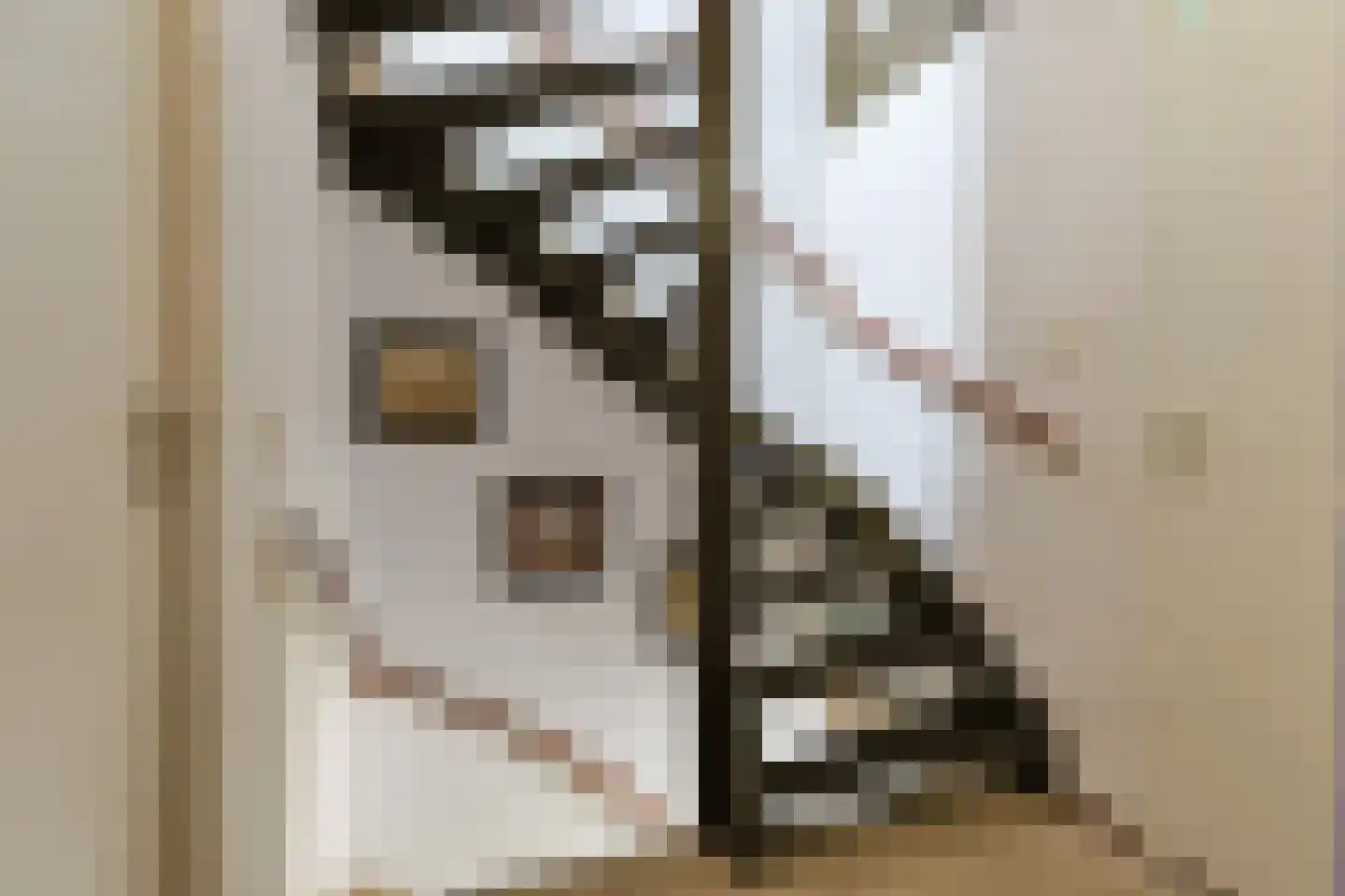 Brasemstraat 32 Nieuwkoop thumbnail 23