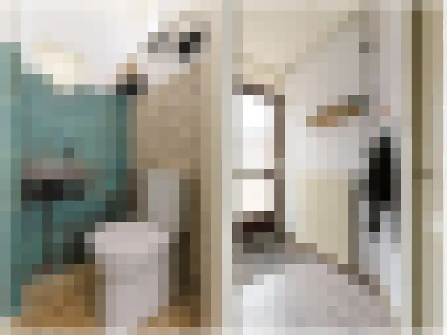 Brasemstraat 32 Nieuwkoop thumbnail 6