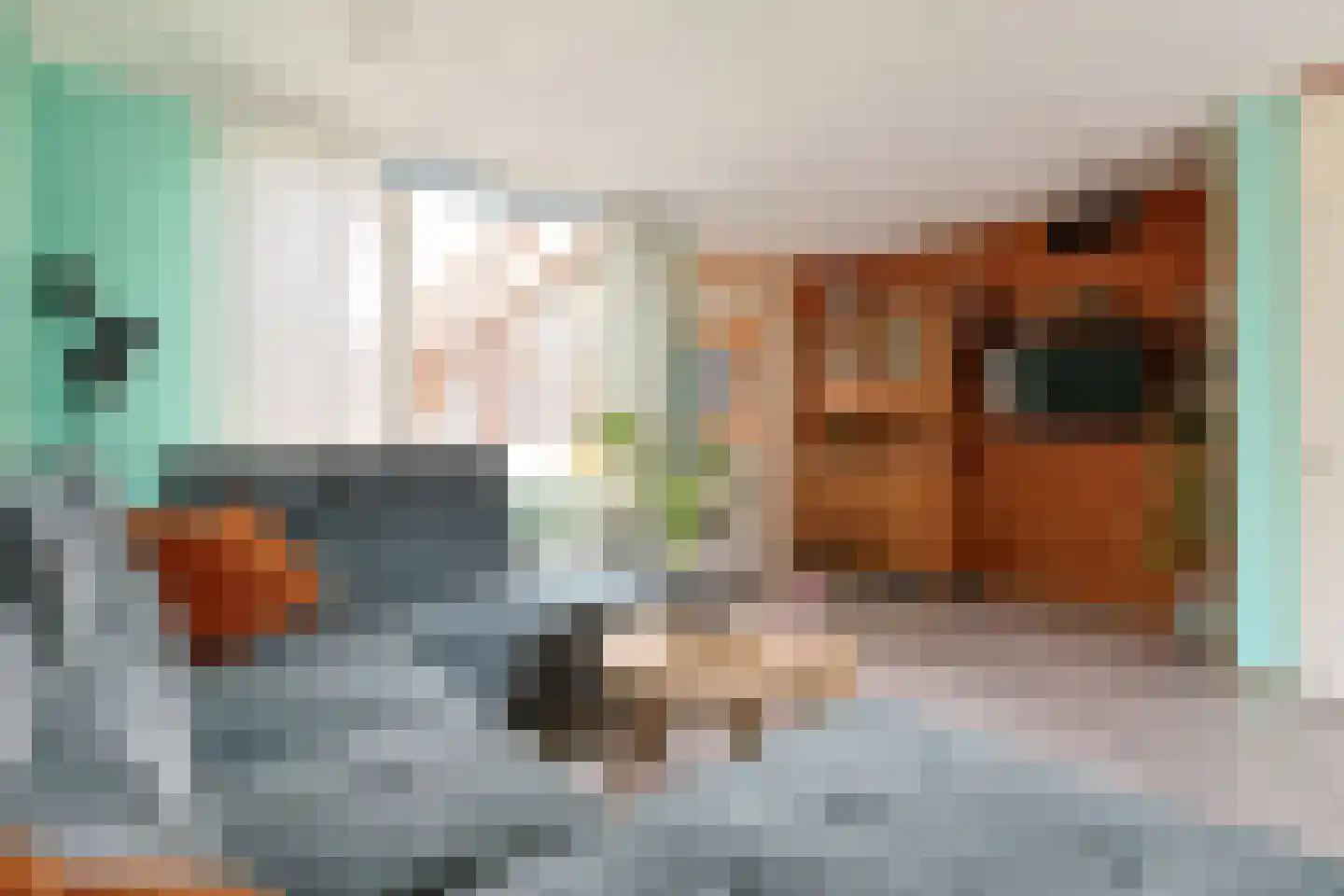 Brasemstraat 32 Nieuwkoop thumbnail 9