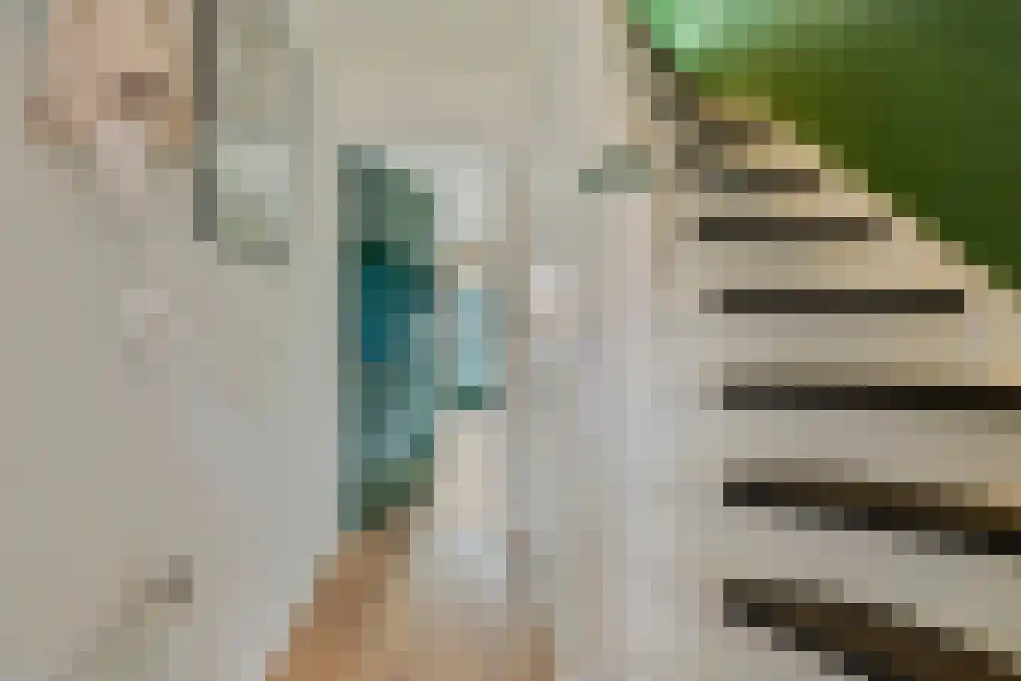 Brasemstraat 35 Tilburg thumbnail 12