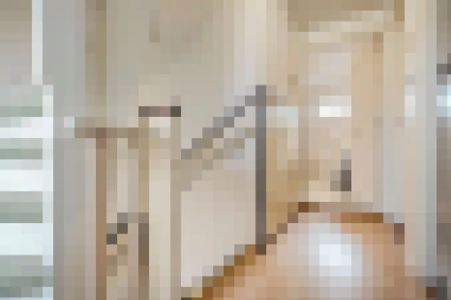 Brasemstraat 38 Tilburg thumbnail 10