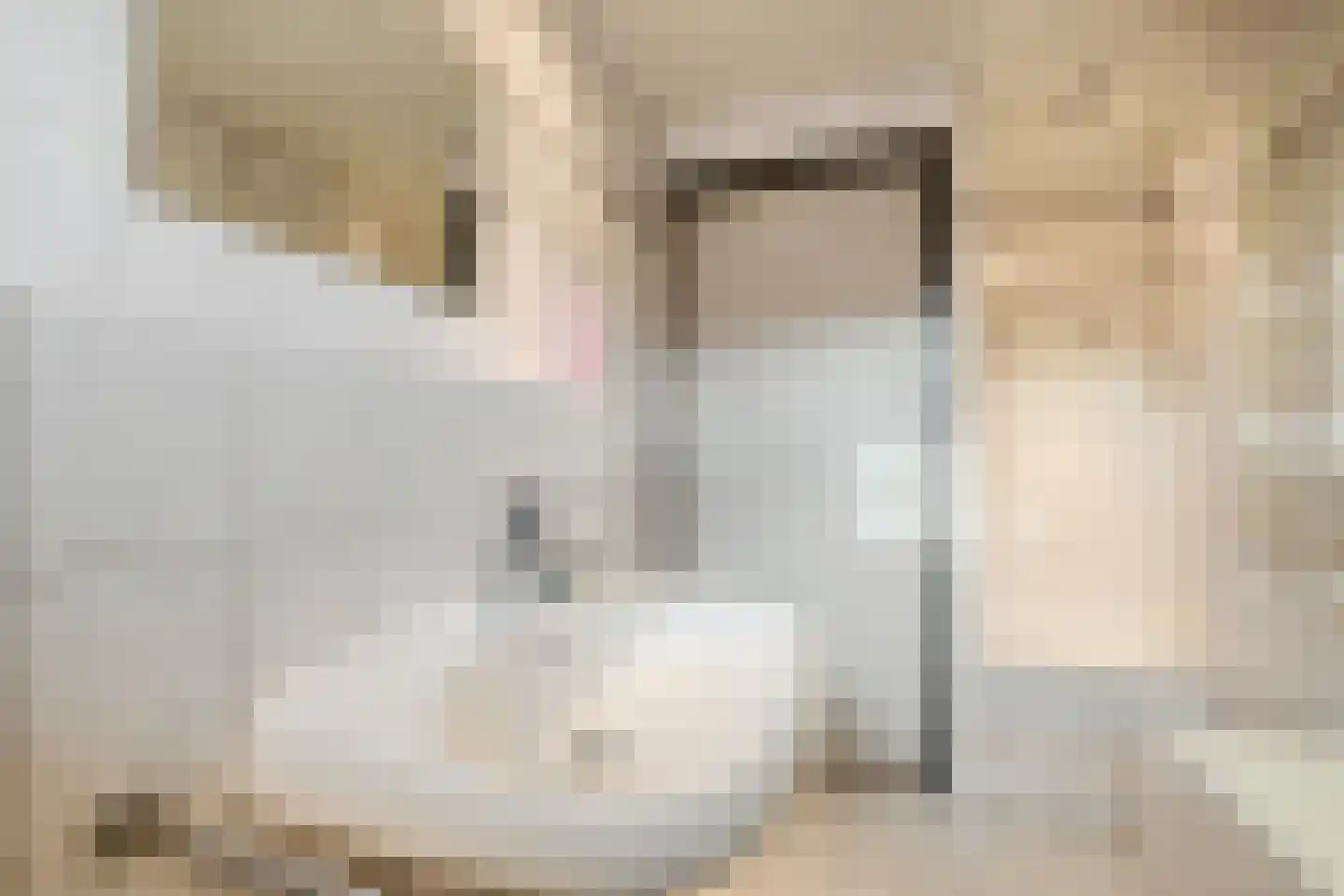 Brasemstraat 38 Tilburg thumbnail 17