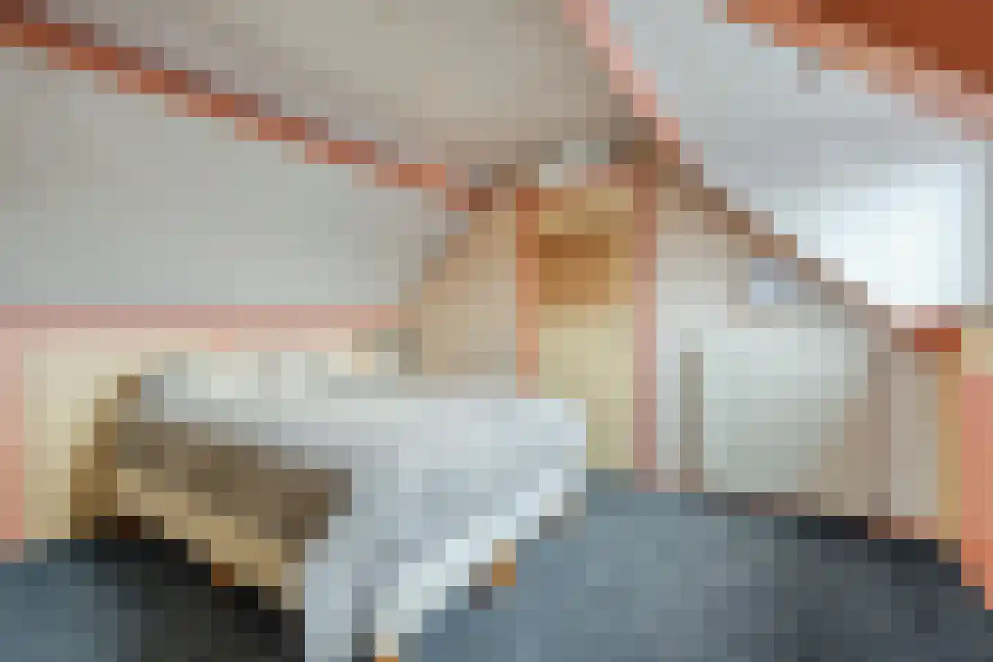 Brasemstraat 38 Tilburg thumbnail 19