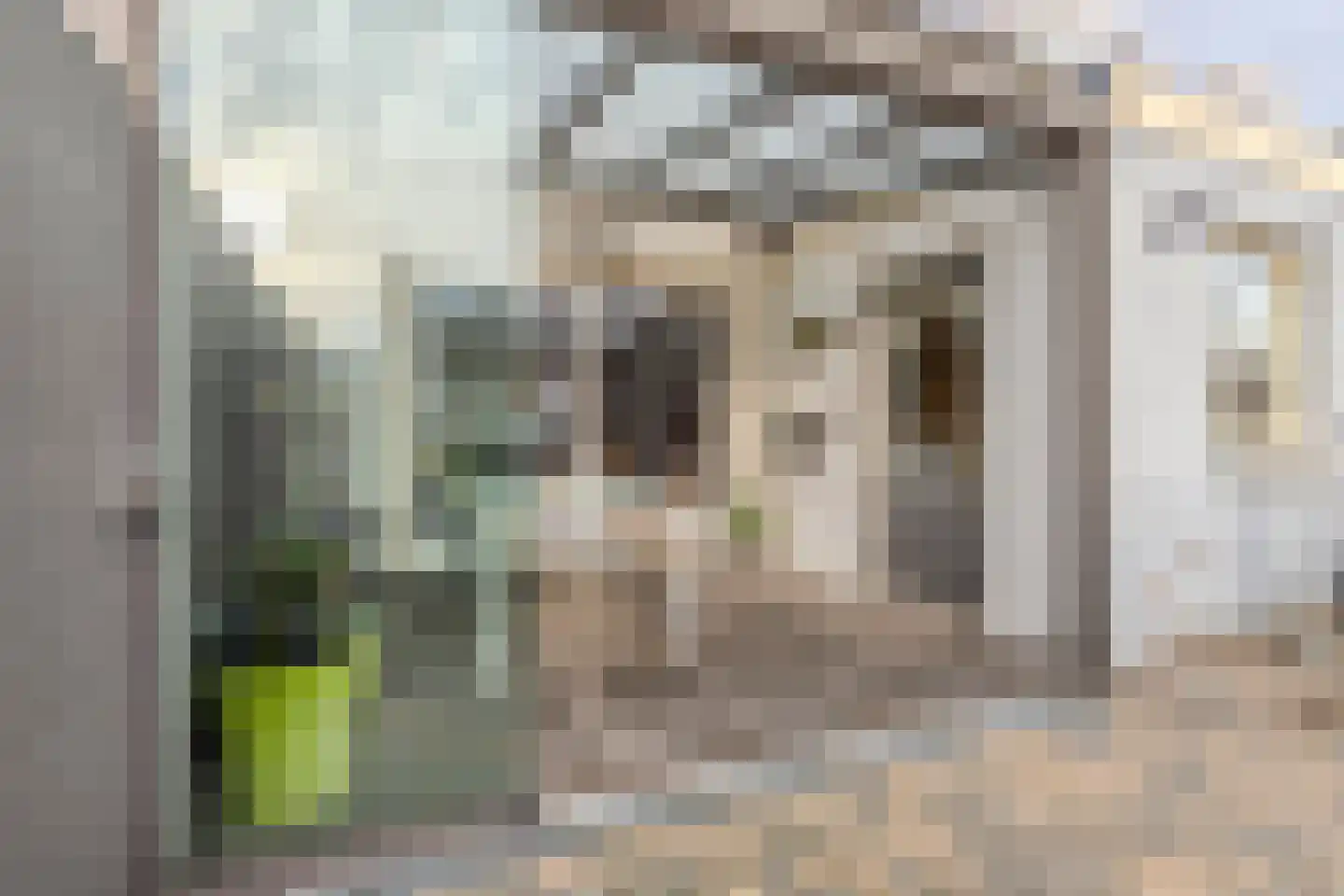Brasemstraat 38 Tilburg thumbnail 22