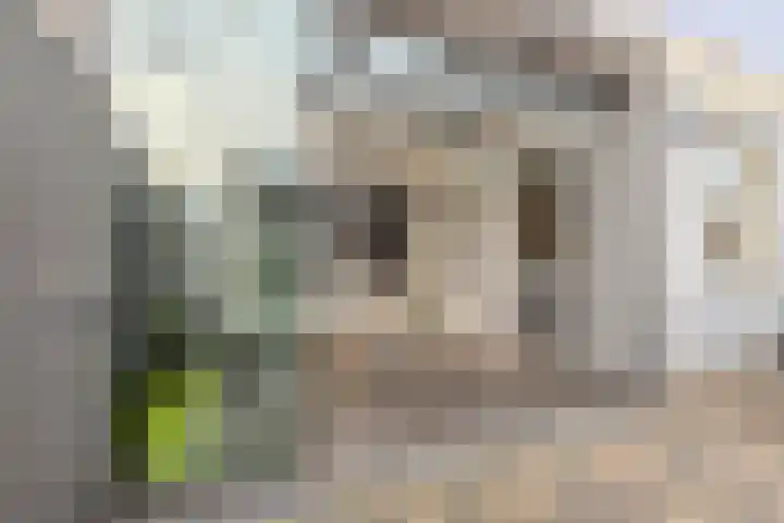 Brasemstraat 38 Tilburg thumbnail 22