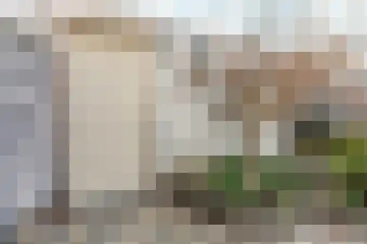 Brasemstraat 38 Tilburg thumbnail 26