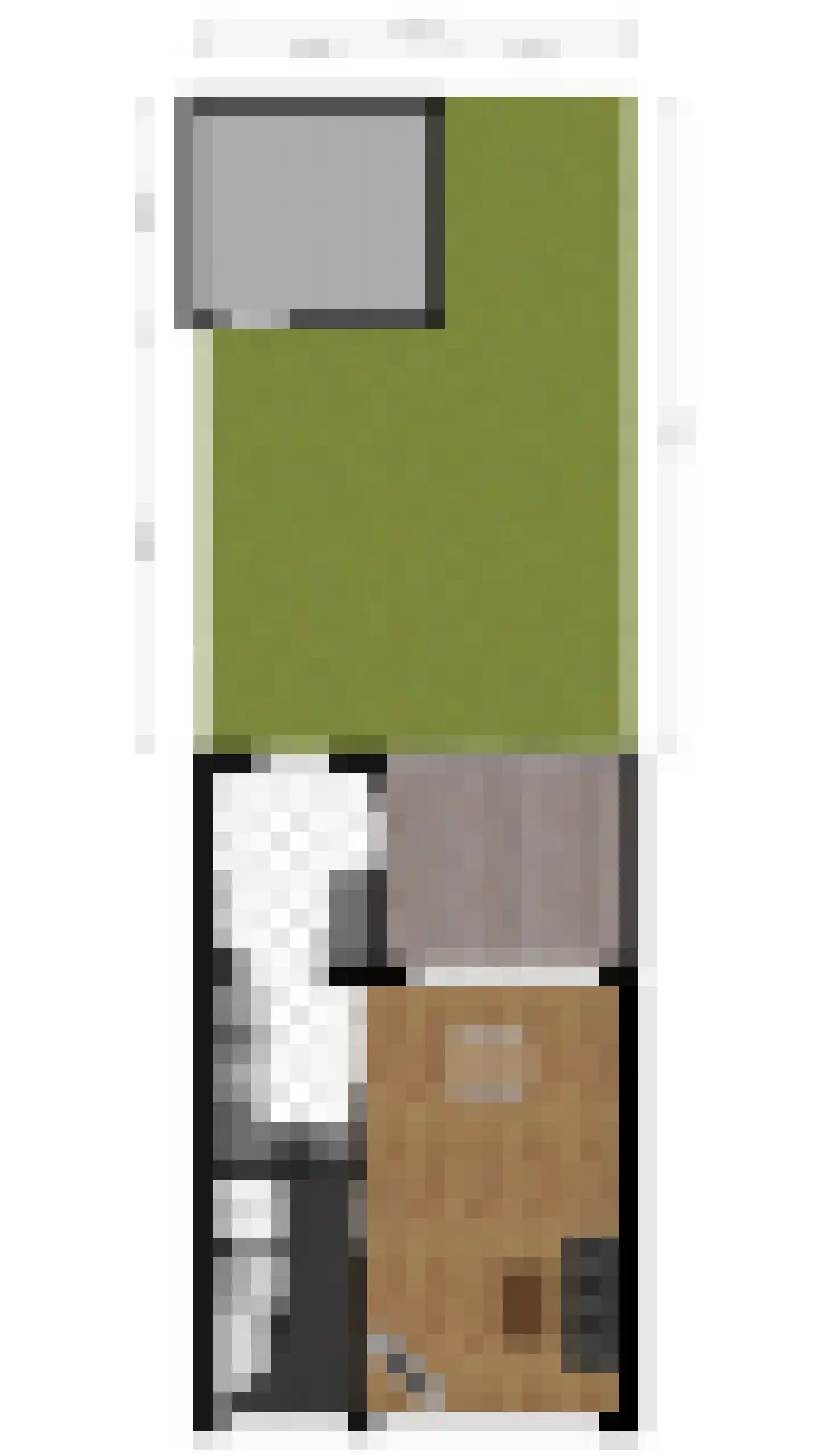 Brasemstraat 38 Tilburg thumbnail 35