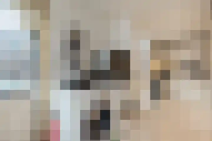 Brasemstraat 38 Tilburg thumbnail 7