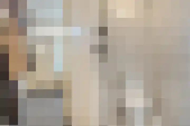 Brasemstraat 38 Tilburg thumbnail 8