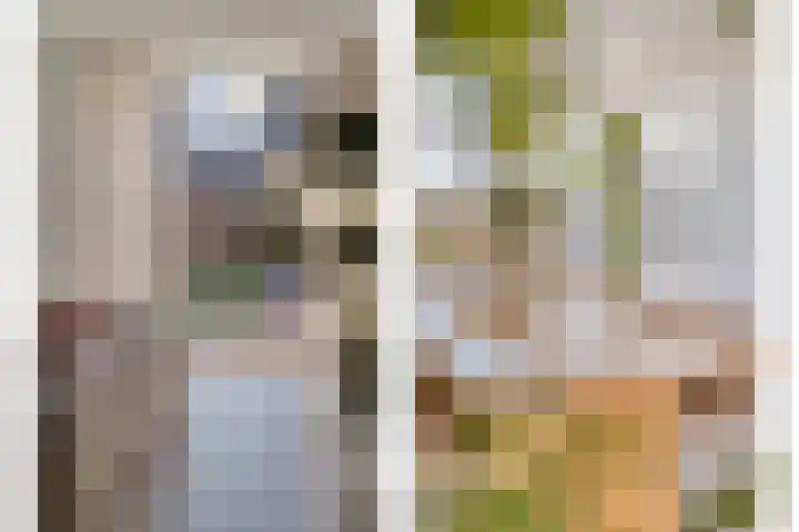 Brasemstraat 44 Aalsmeer thumbnail 8