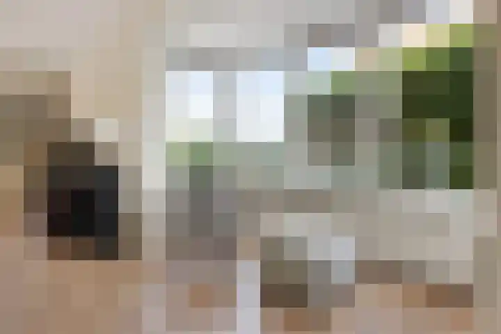 Brasemstraat 6 Assen thumbnail 11