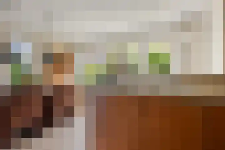 Brasemstraat 6 Assen thumbnail 15