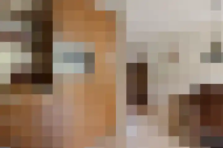 Brasemstraat 6 Assen thumbnail 17