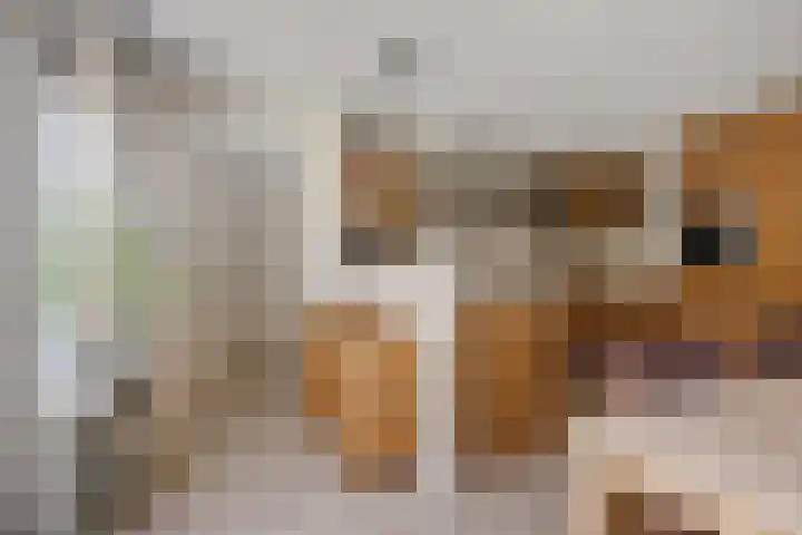 Brasemstraat 6 Assen thumbnail 18