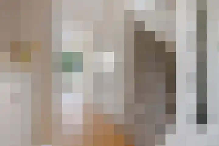 Brasemstraat 6 Assen thumbnail 22