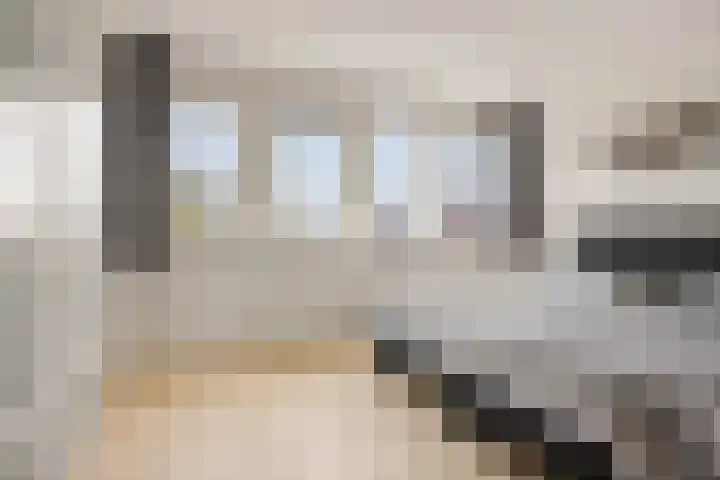 Brasemstraat 6 Assen thumbnail 28