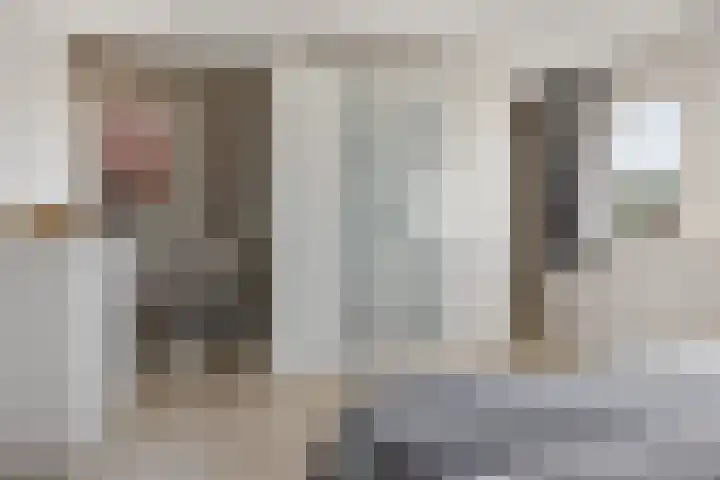 Brasemstraat 6 Assen thumbnail 29