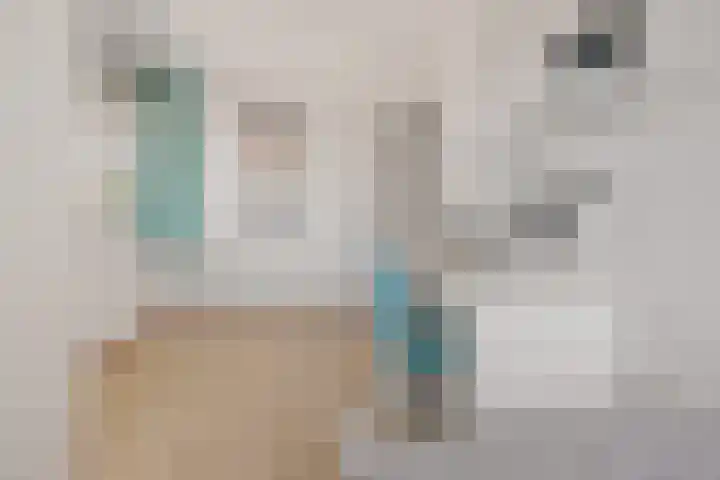 Brasemstraat 6 Assen thumbnail 32