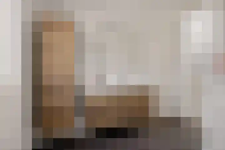 Brasemstraat 6 Assen thumbnail 33