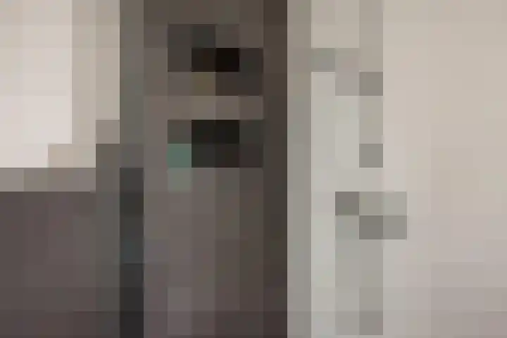 Brasemstraat 6 Assen thumbnail 36